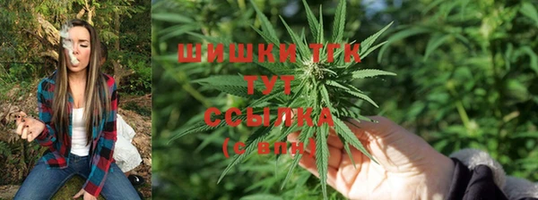 прущие грибы Беломорск