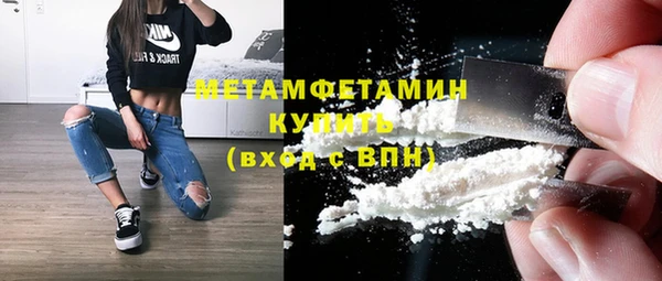 прущие грибы Беломорск
