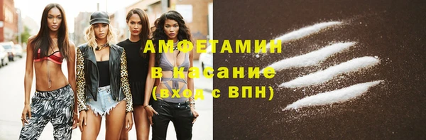 прущие грибы Беломорск