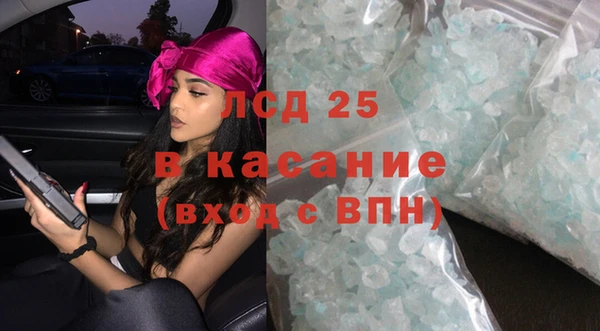 прущие грибы Беломорск