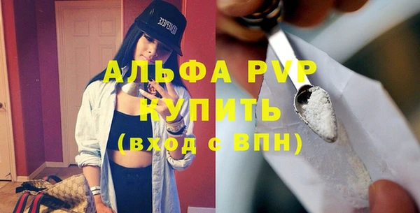 прущие грибы Беломорск