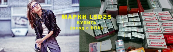 прущие грибы Беломорск