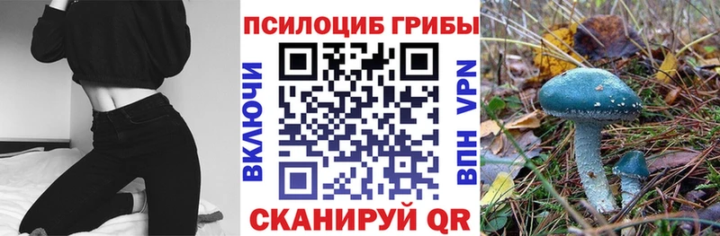 хочу наркоту  Корсаков  Галлюциногенные грибы мицелий 